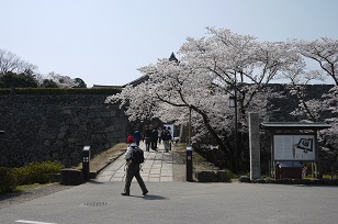 f0226293_7594327.jpg