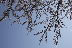 f0226293_804862.jpg