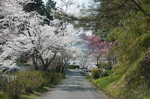 f0226293_83691.jpg