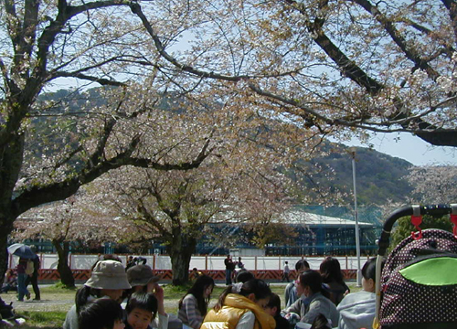 d0053294_217748.jpg