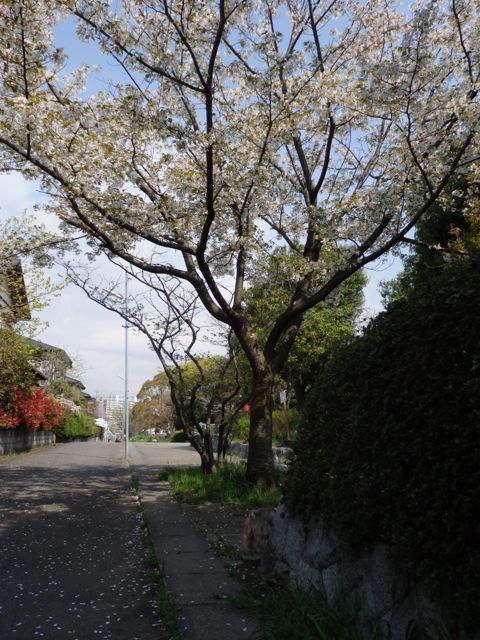f0130894_21401236.jpg