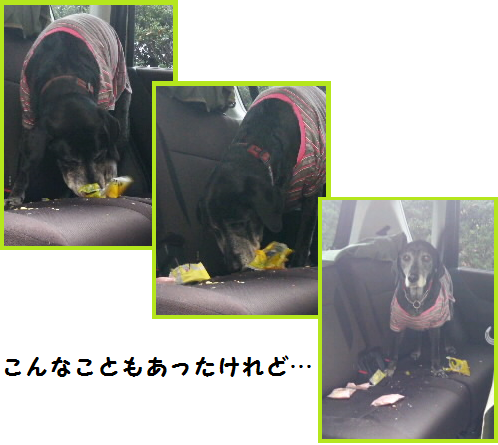 d0282395_1252828.png