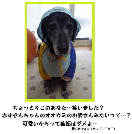 d0282395_12552888.png