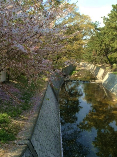 a0126497_22463711.jpg