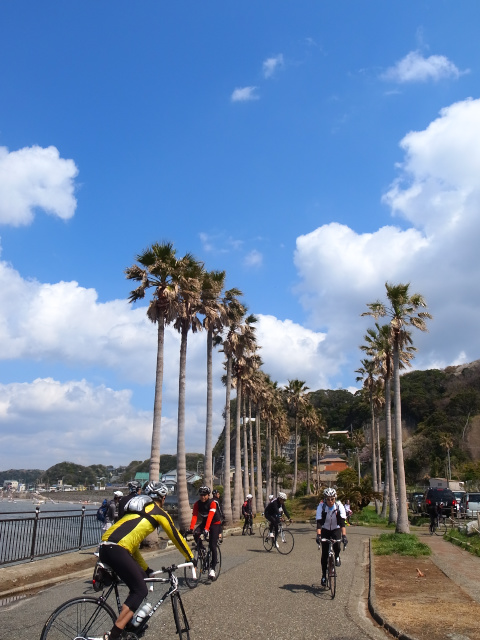 d0081997_00323158.jpg