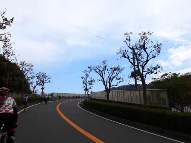 d0081997_00423802.jpg