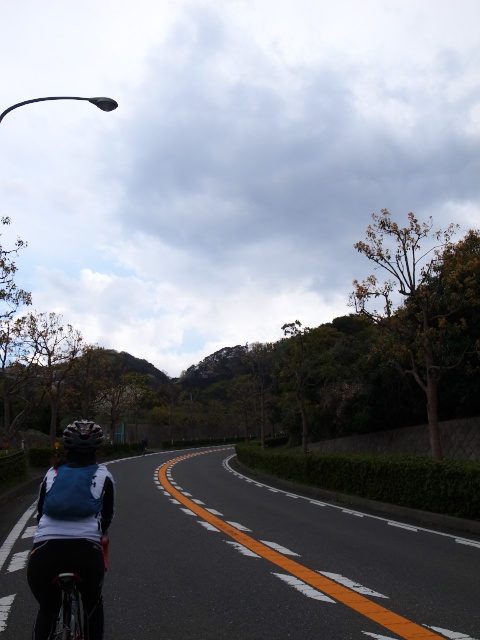 d0081997_00431272.jpg