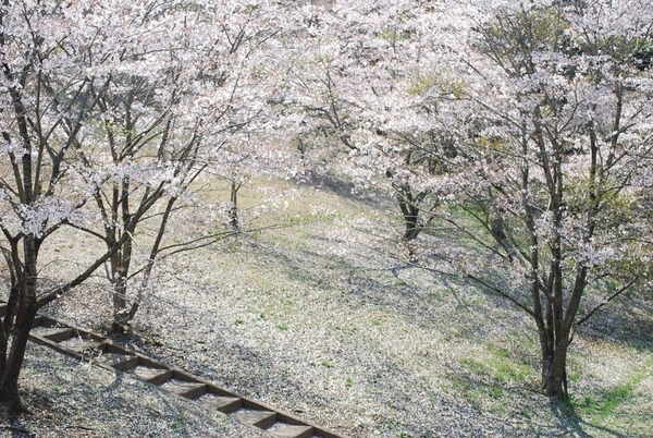 e0025300_13465088.jpg