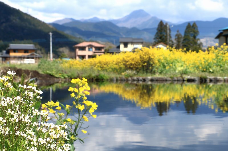 a0188405_12591067.jpg