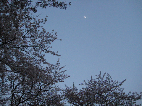 b0309813_11315598.jpg