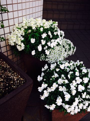 e0274314_1025166.jpg