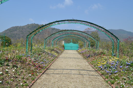 e0135518_1538739.jpg