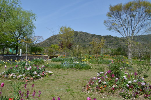 e0135518_15452688.jpg