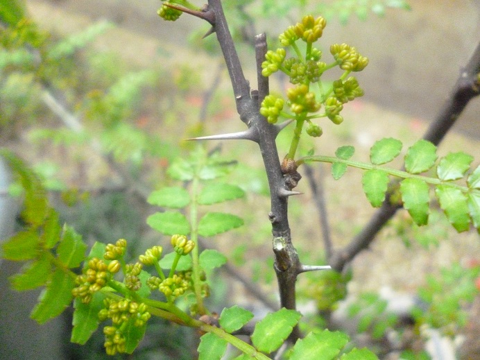 f0228619_13721100.jpg