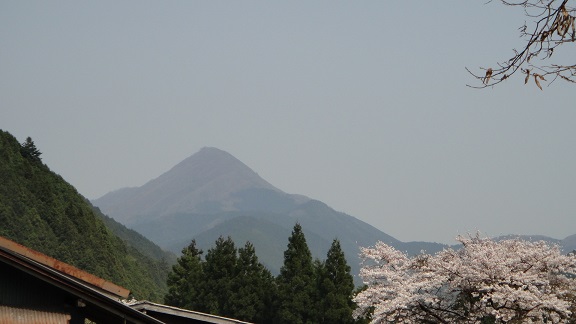 f0000521_19261228.jpg