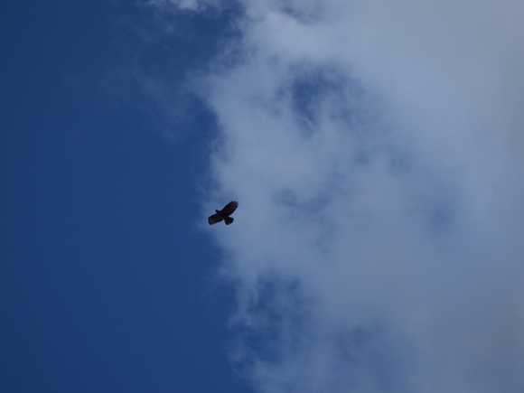 f0118332_21432373.jpg