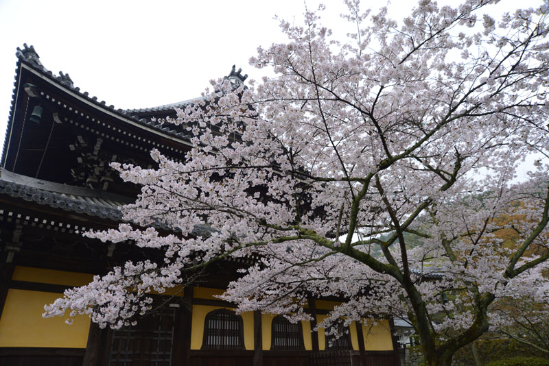 b0042837_21175393.jpg