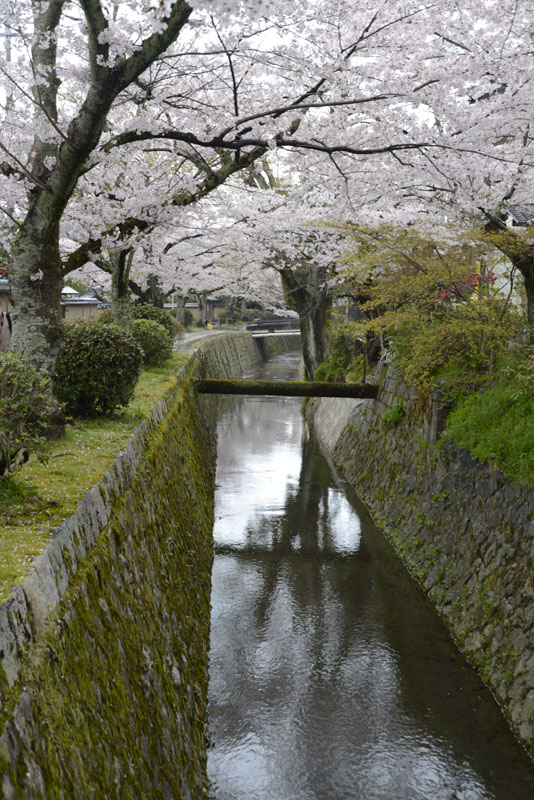b0042837_2121162.jpg