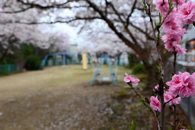 a0242438_2134155.jpg