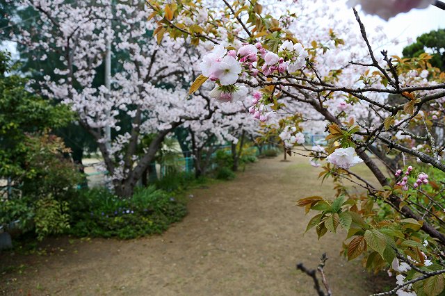 a0242438_21345581.jpg
