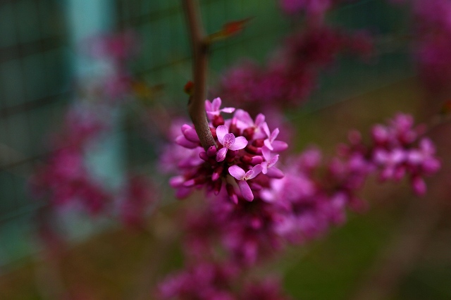 a0242438_2134621.jpg