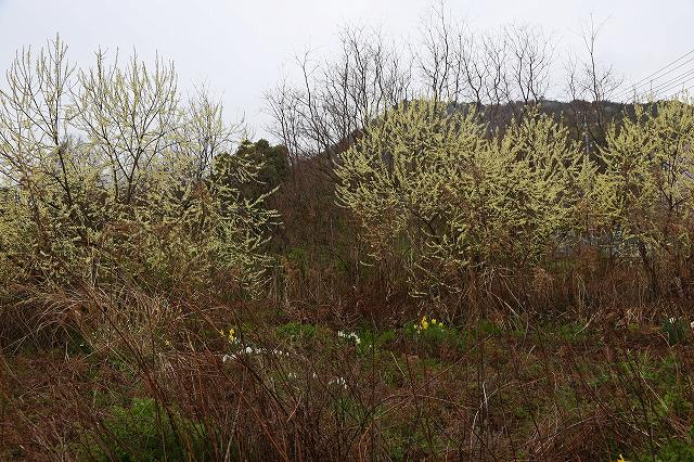 a0242438_21352736.jpg