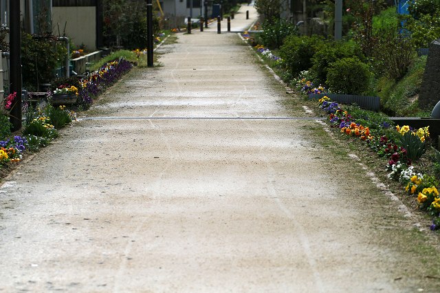 a0242438_21361333.jpg