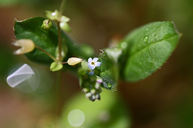 a0242438_2136383.jpg