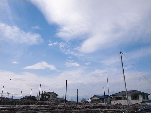 e0022839_372861.jpg