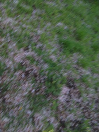 c0180142_16303591.jpg