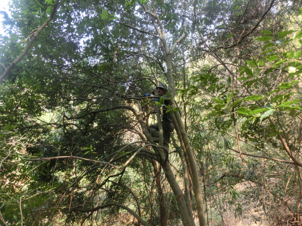 b0132746_20560760.jpg