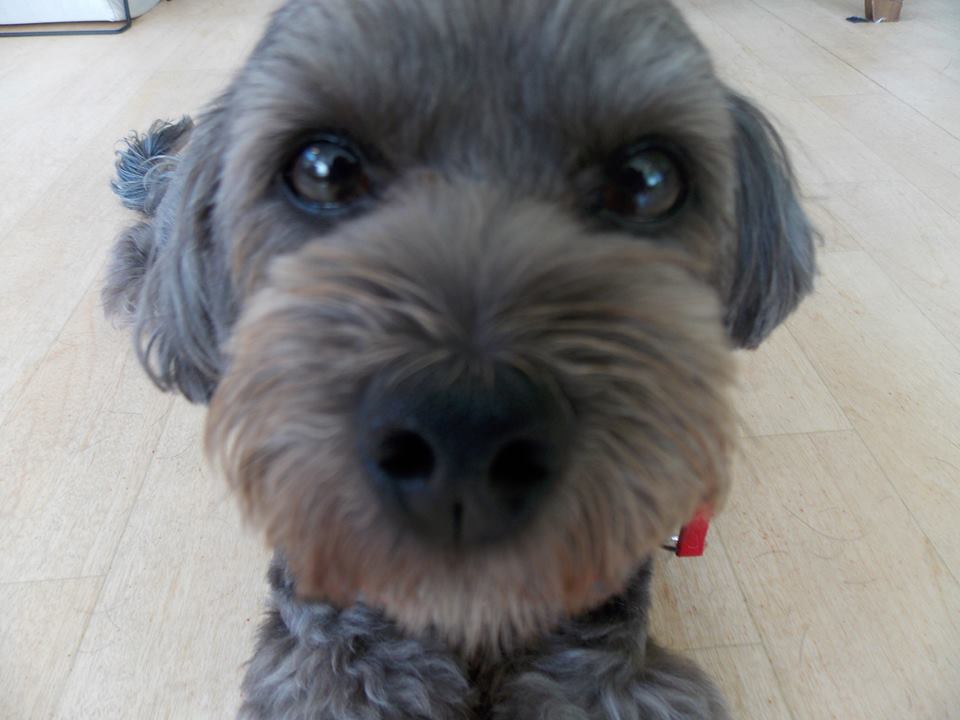 b0223849_1650340.jpg
