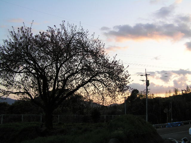 c0283850_13311281.jpg