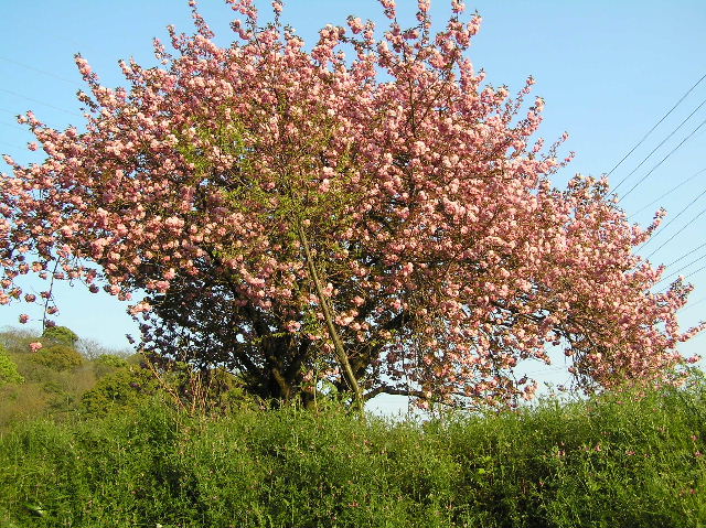c0283850_13324040.jpg