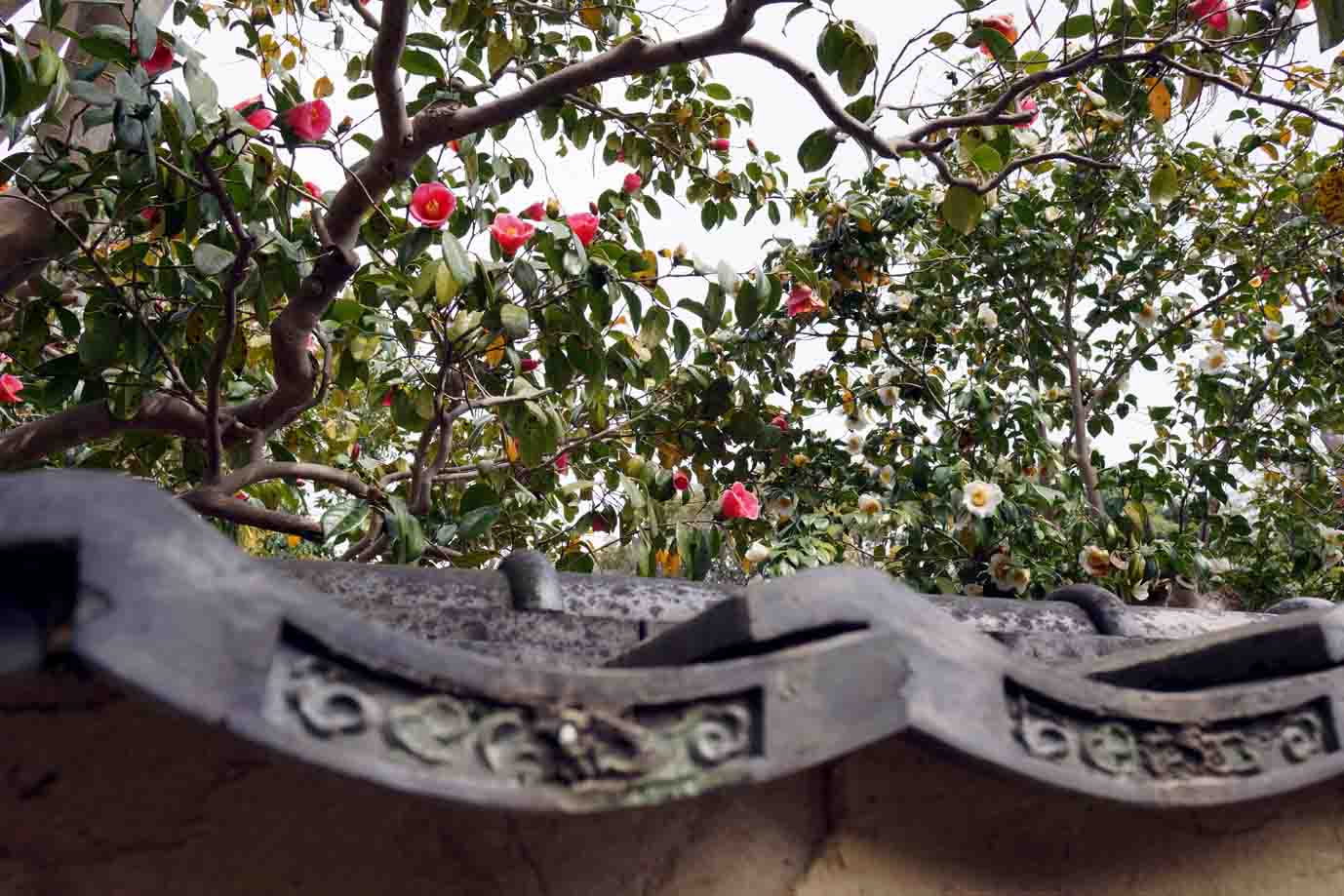 c0064260_14075046.jpg
