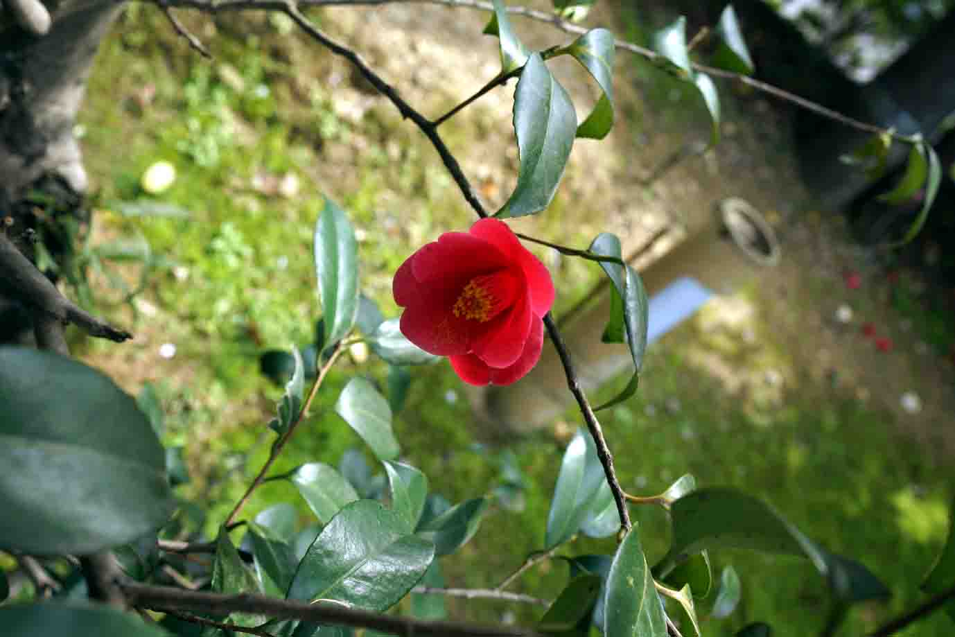 c0064260_14081952.jpg