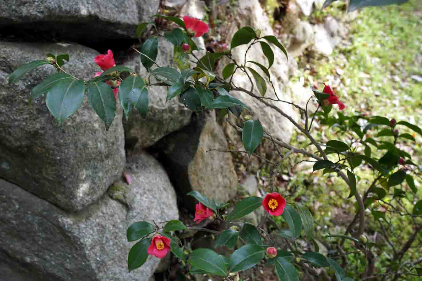 c0064260_14083903.jpg
