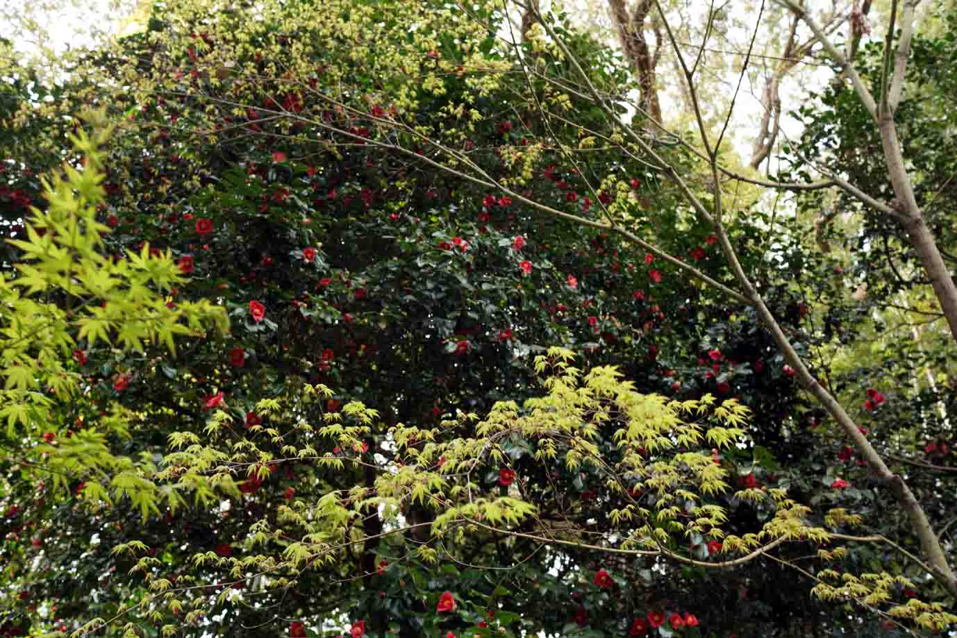 c0064260_14091040.jpg