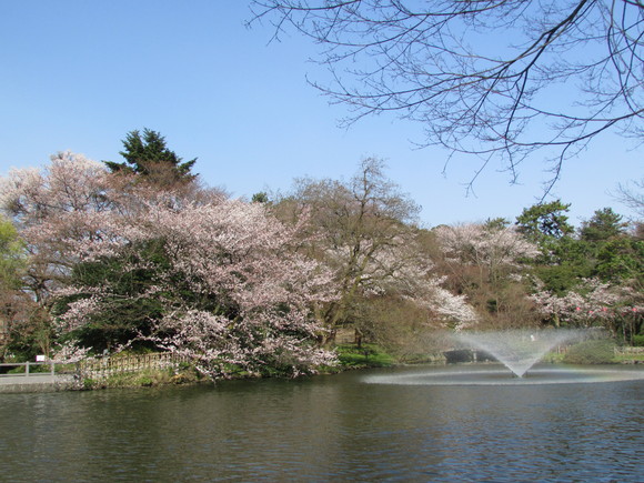c0135361_11472019.jpg
