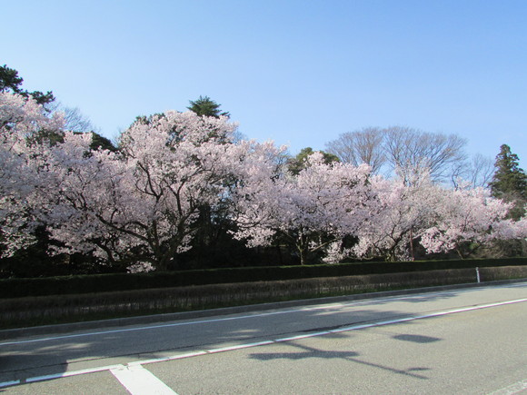 c0135361_11474443.jpg