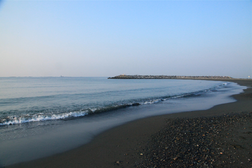a0157069_7345216.jpg