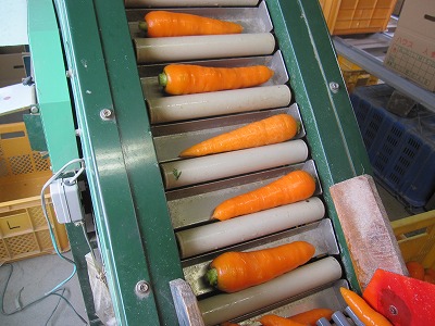 e0098473_0261378.jpg