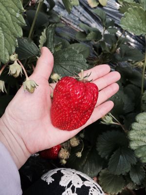 f0014980_9142724.jpg