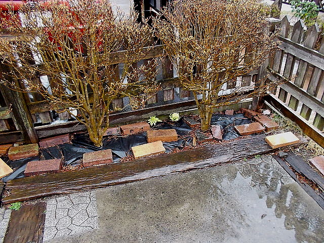 a0007388_9504553.jpg
