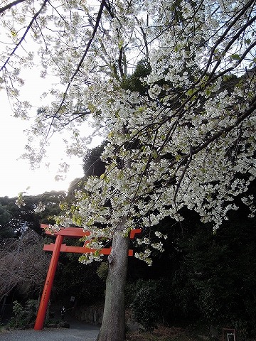b0287088_1662776.jpg