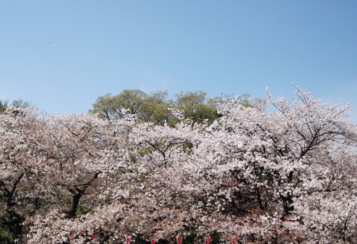 c0092693_20484218.jpg