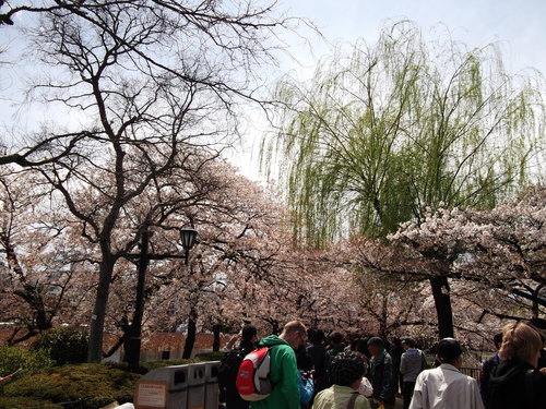 c0092693_2052201.jpg