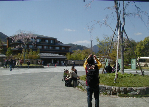 d0053294_1373238.jpg