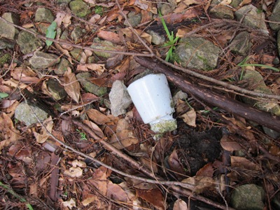 c0118495_21392137.jpg