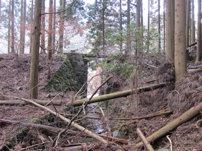 c0118495_2140999.jpg